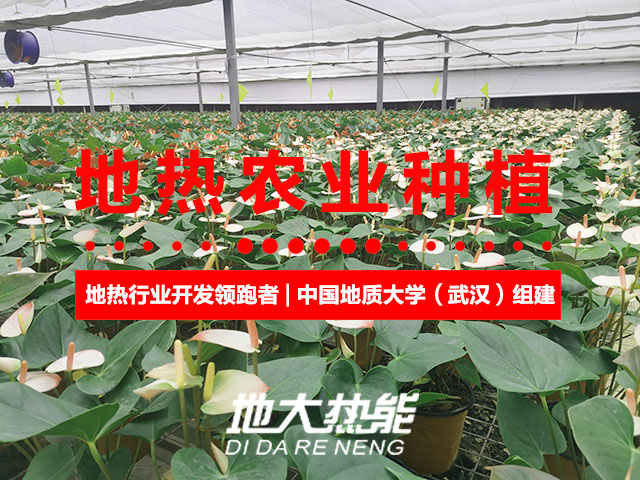 濟南：“地熱能+農(nóng)業(yè)”產(chǎn)業(yè)融合，讓地熱能真正“熱”起來-地大熱能